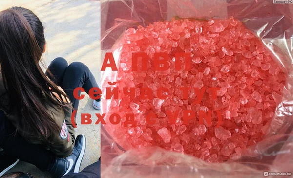 a pvp Армянск