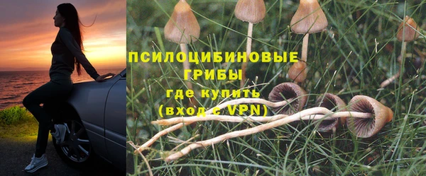 гашиш Арсеньев