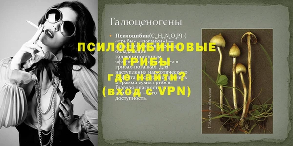 a pvp Армянск